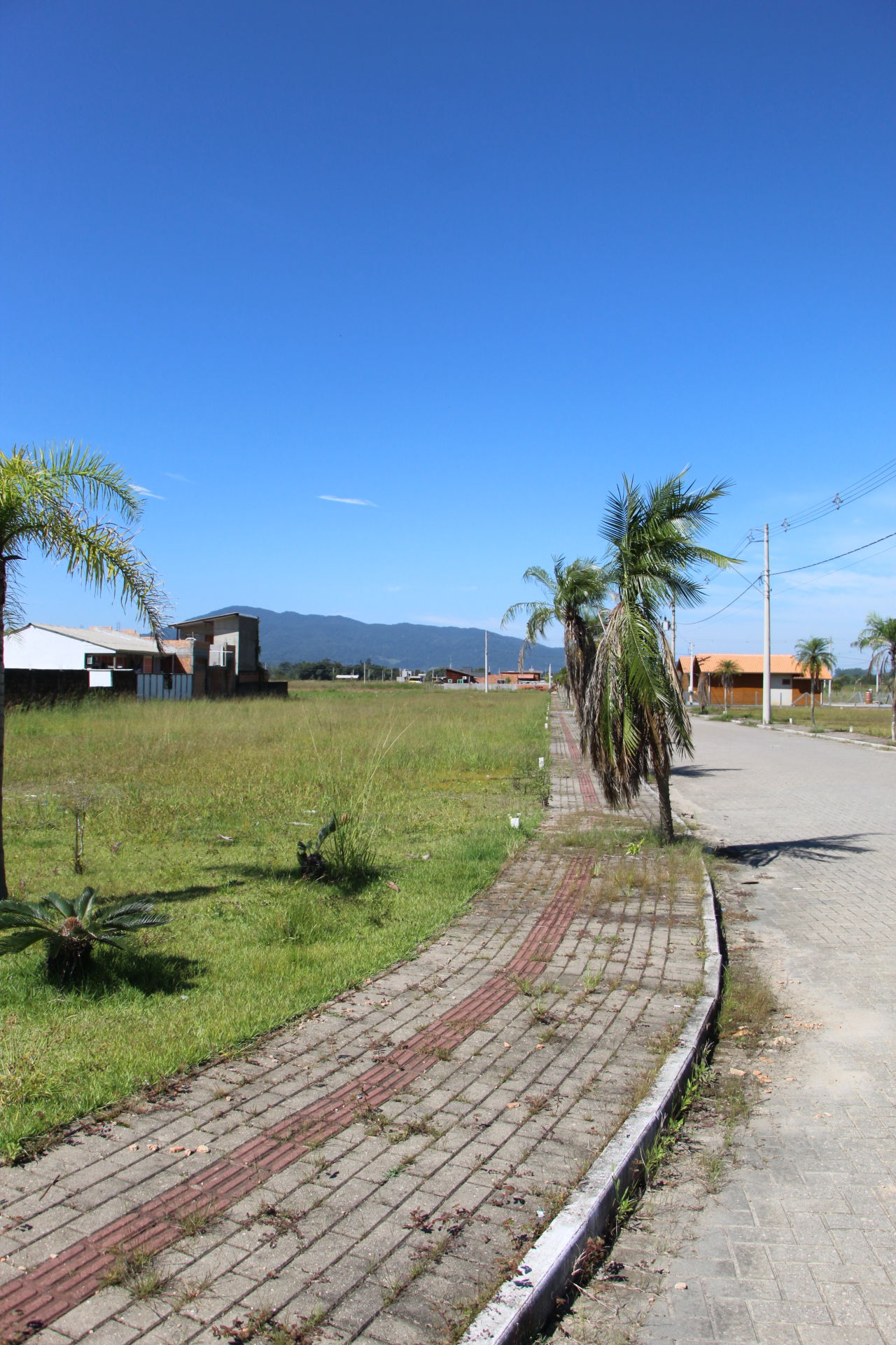Terreno à venda - Foto 5