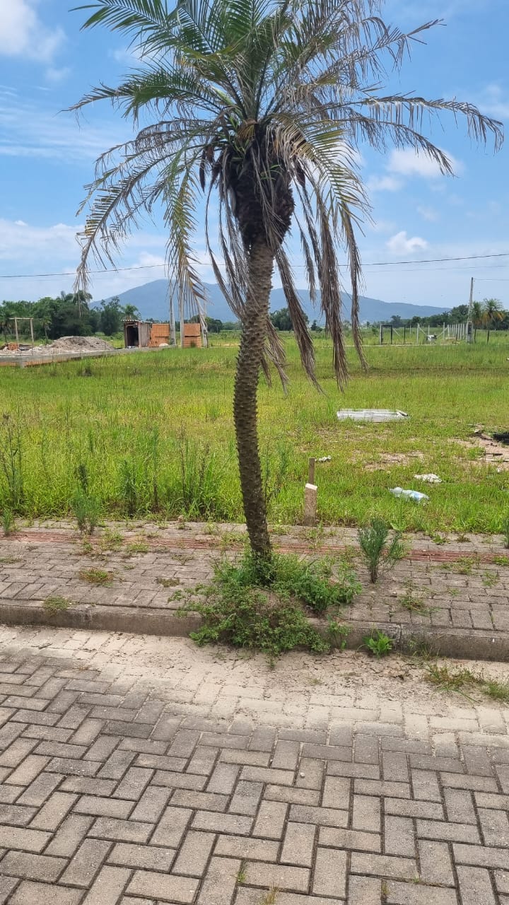 Terreno à venda - Foto 14