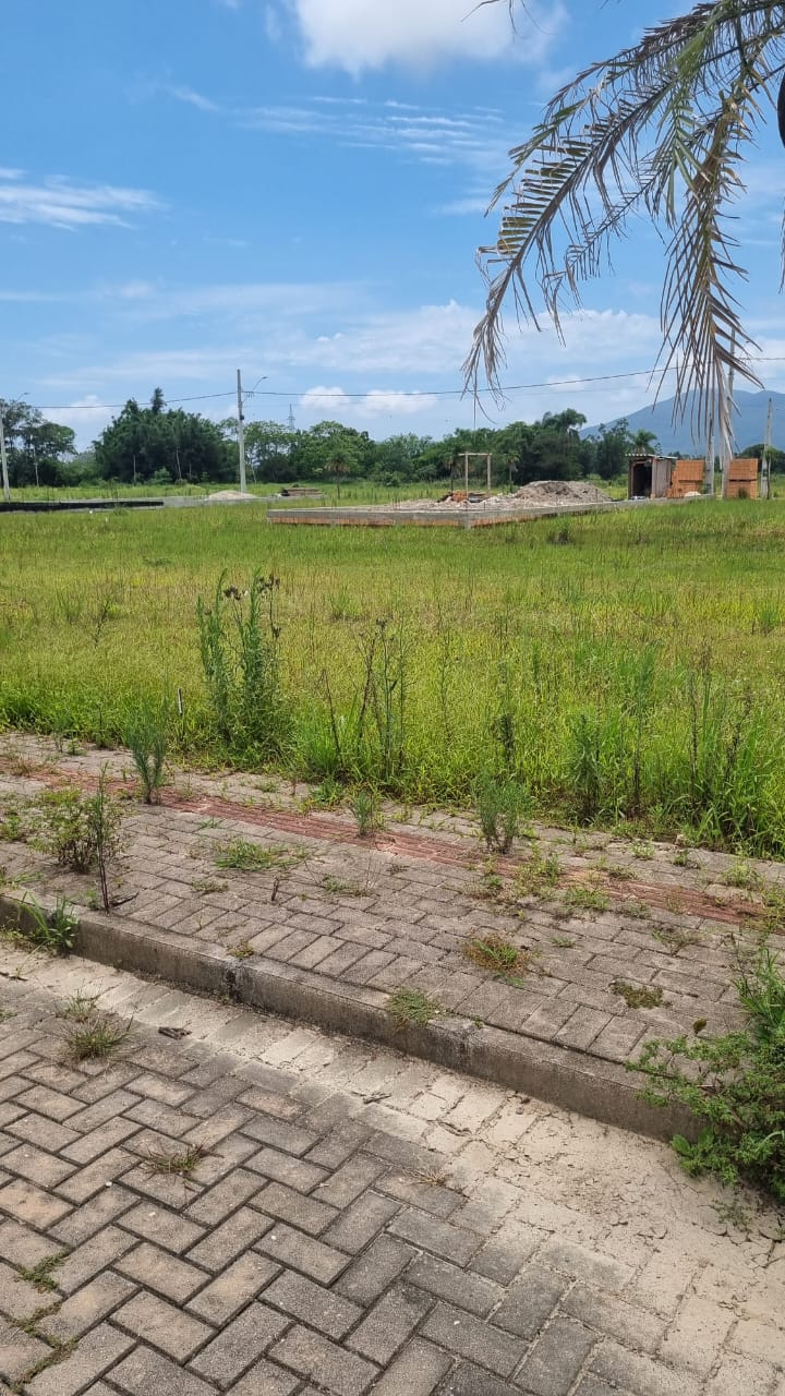 Terreno à venda - Foto 6